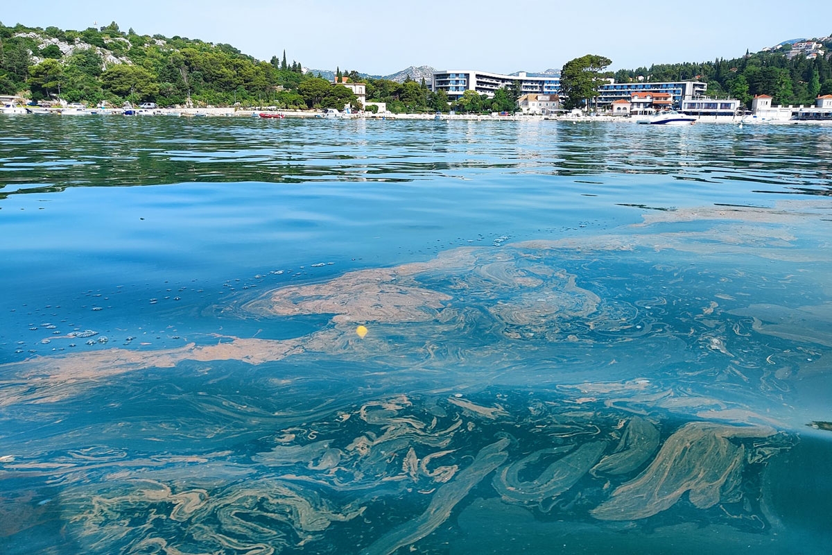 FOTO VIJEST ČITATELJA; Pogledajte kako jutros izgleda more ispred Srebrenog