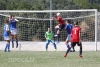 Druga dalmatinska liga; Dvostruko slavlje na Taranteli i pioniri i kadeti pobijedili Omi&scaron;