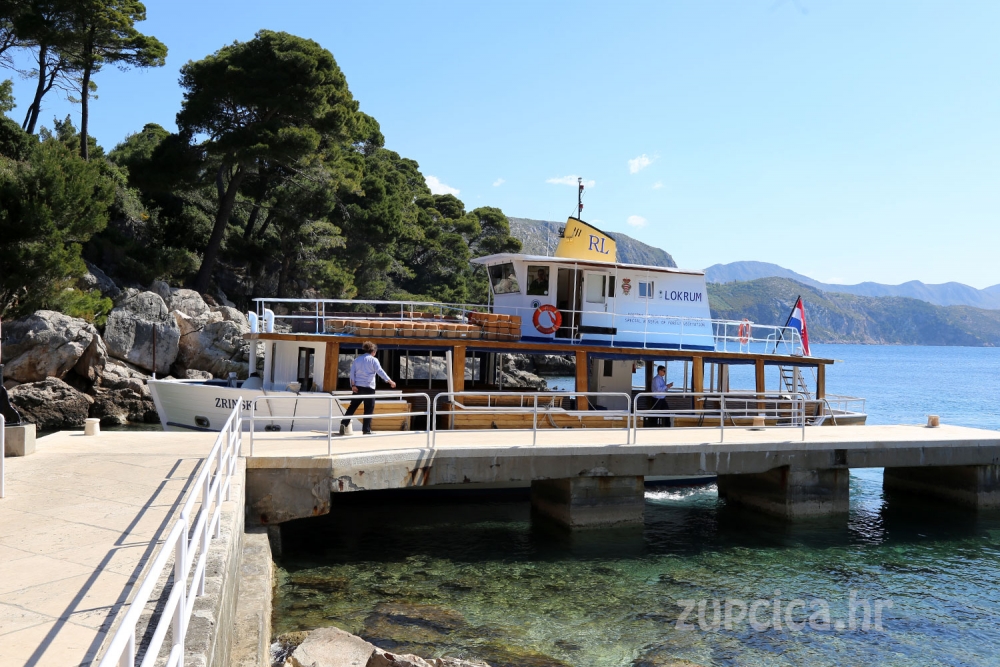 Uz već podijeljenih 600 Općina s rezervatom Lokrum dogovorila dodatnih 100 pokaza, podjela danas